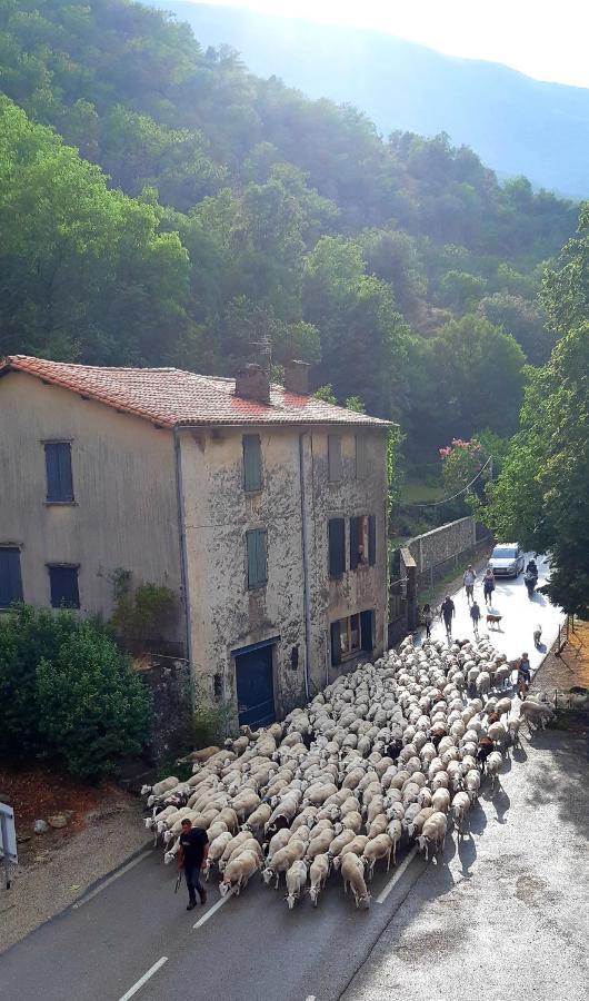 Auberge Cevenole Valleraugue Ngoại thất bức ảnh
